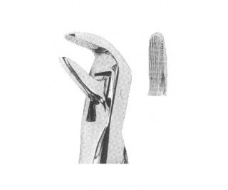 Extracting Forceps With Anatomically Shaped Handle